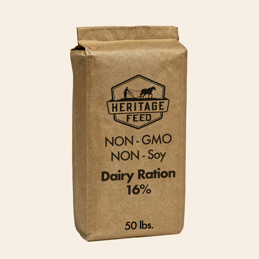 NON-GMO Dairy Ration 16%